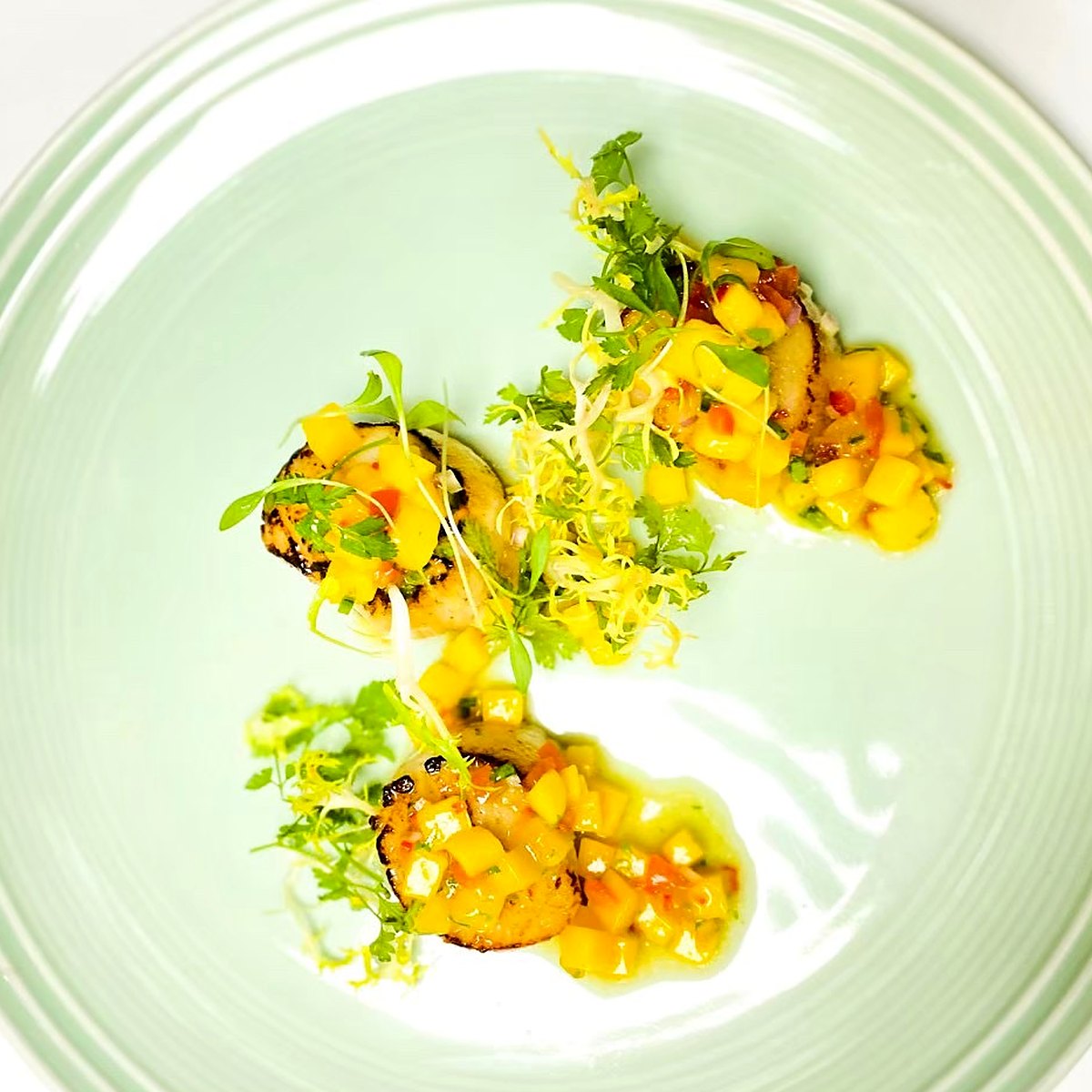 Seared scallops with mango salsa and frisée